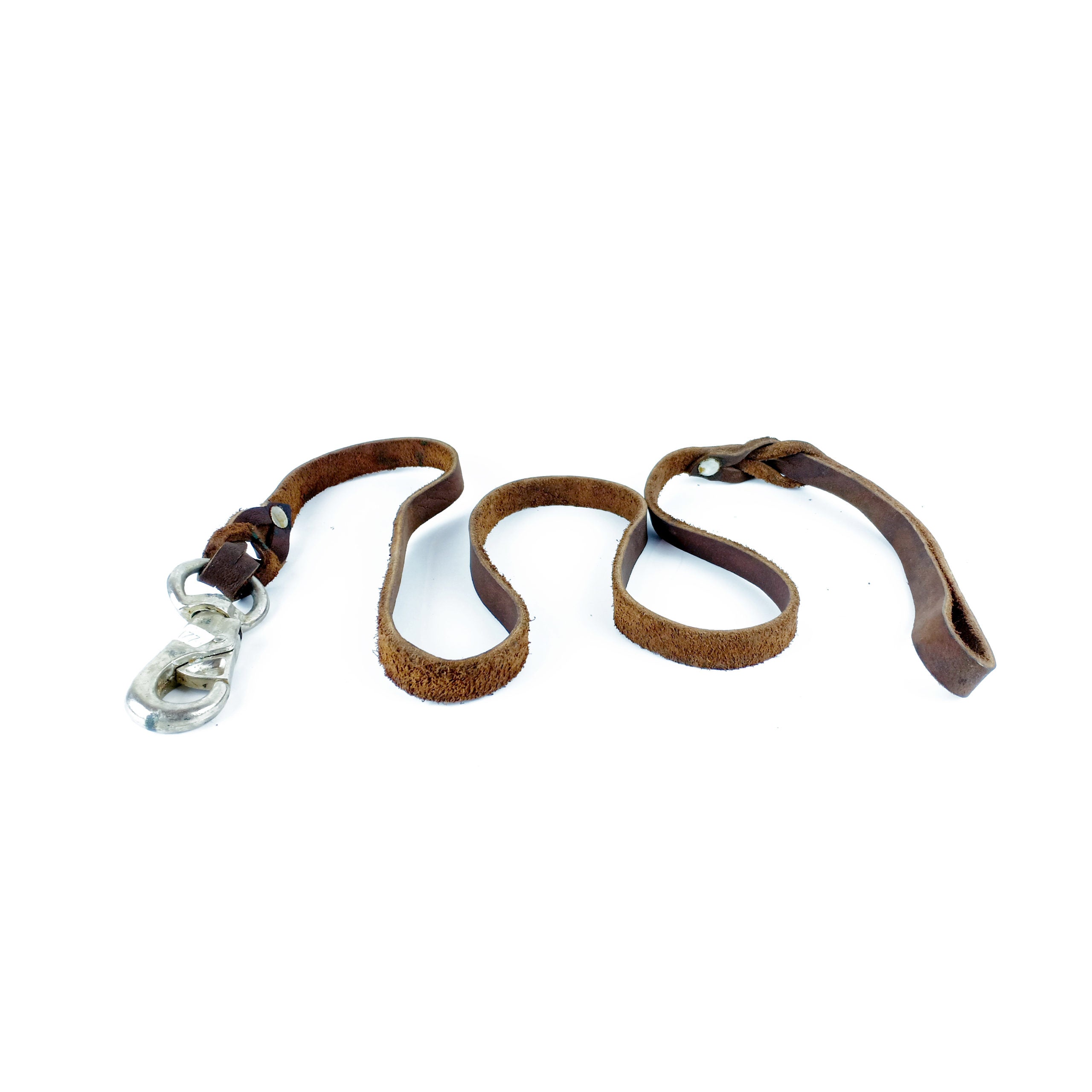 Show leash leather (1.5 cm ? 140 cm)