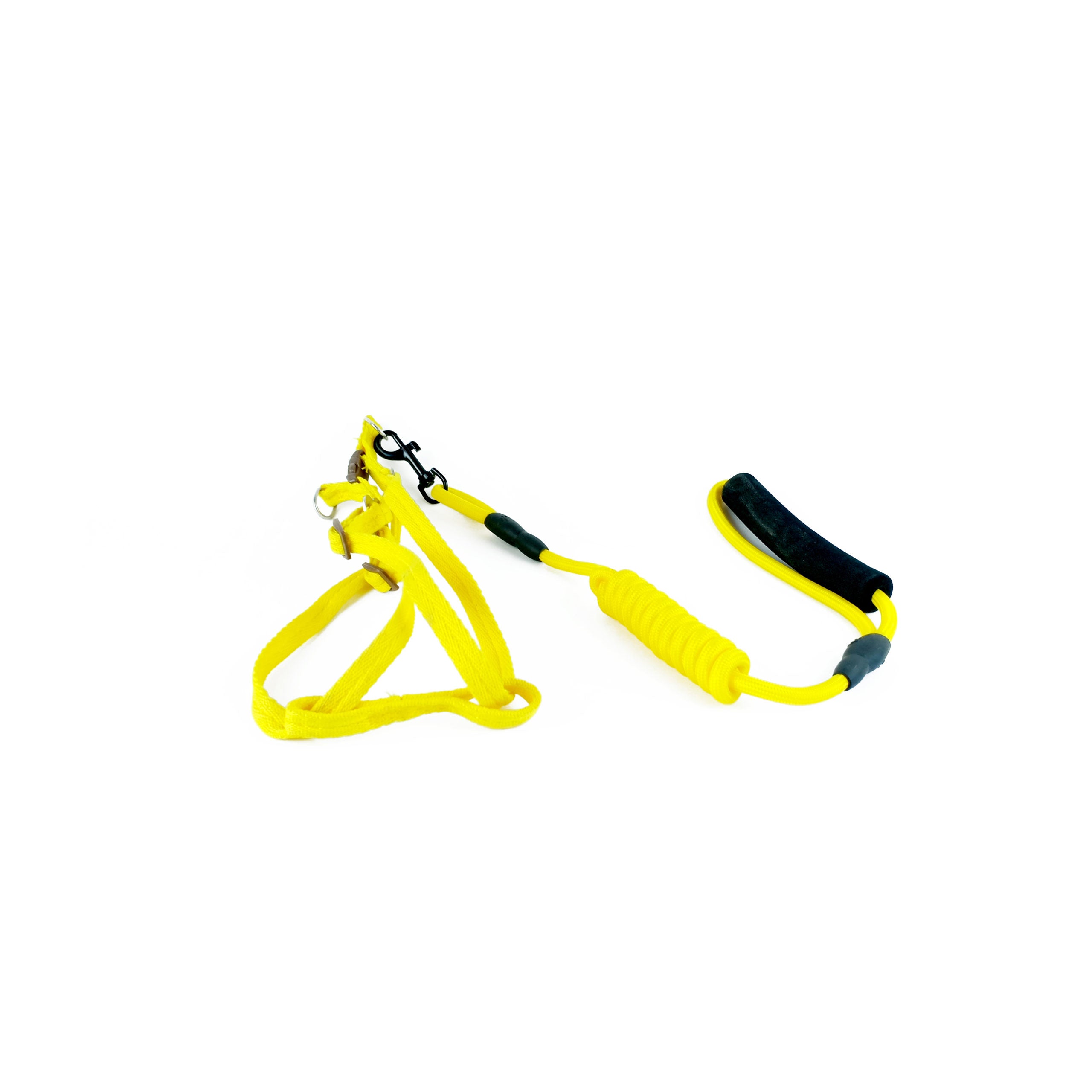 leash + harness shimy small plain  colors small (120 cm ? 1 cm ? 35-50 cm)