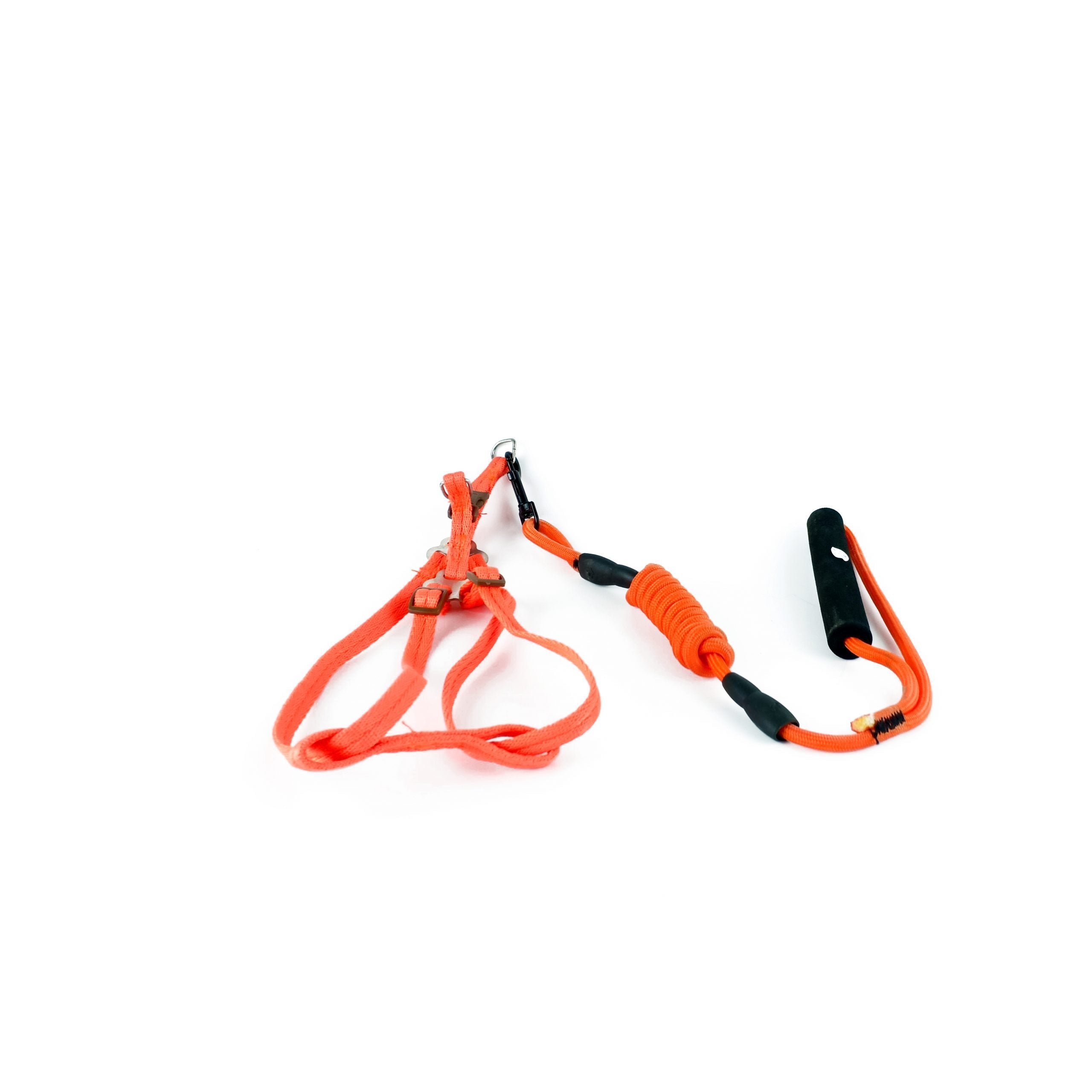 leash + harness shimy small plain  colors small (120 cm ? 1 cm ? 35-50 cm)