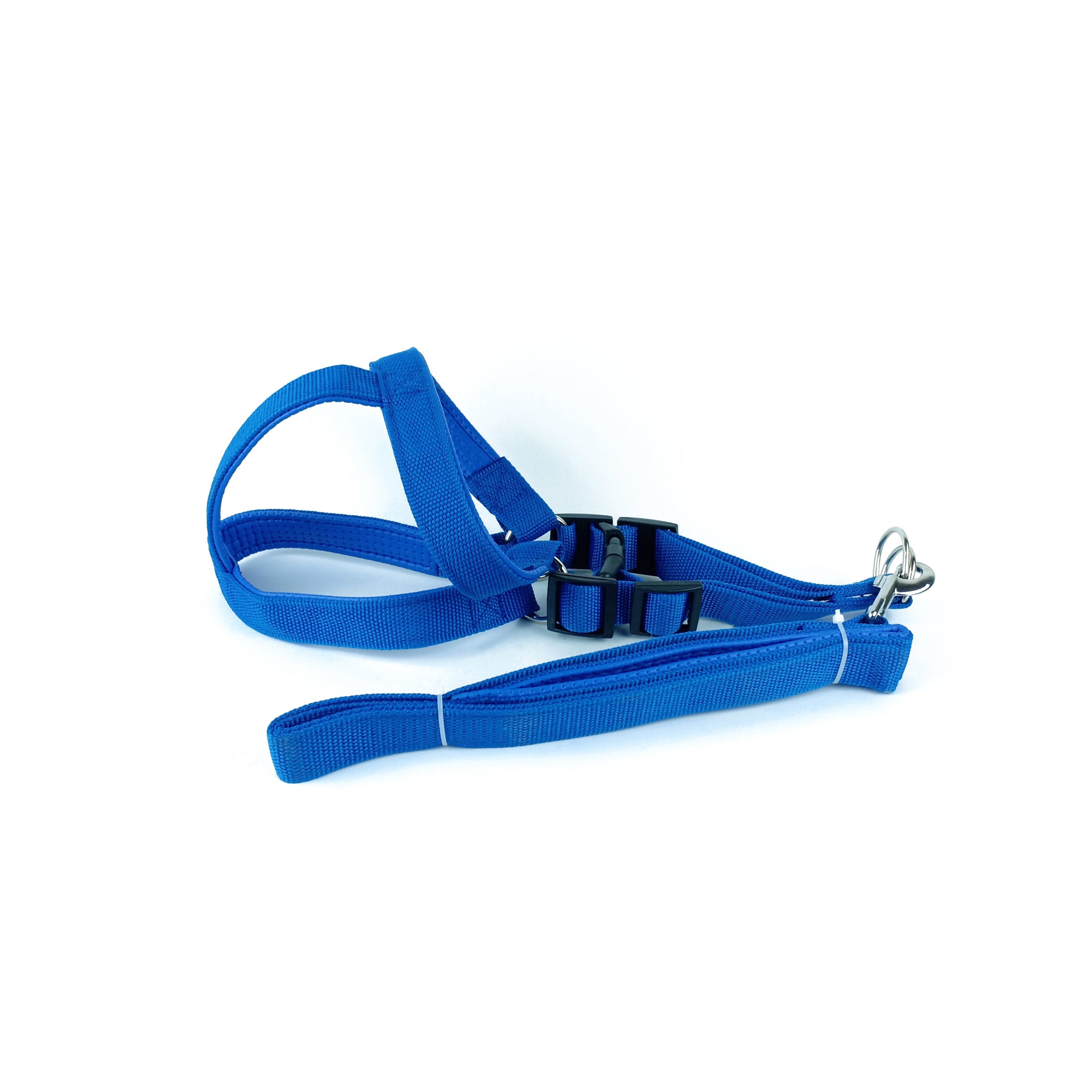 Medium Leash + harness plain (2.5 cm × 120 cm × 52-70 cm)