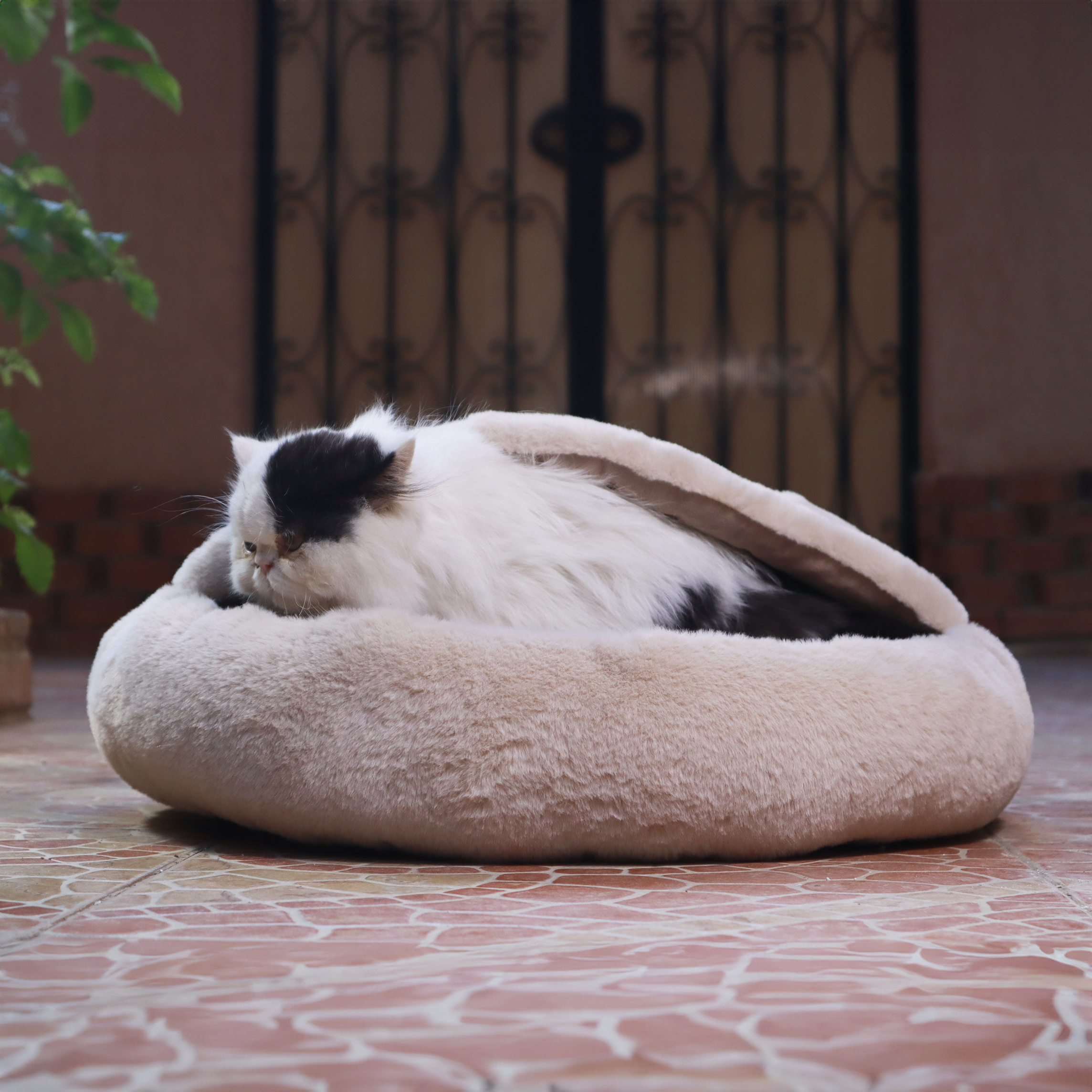 Petmoda Cozy Cave Comfort Bed