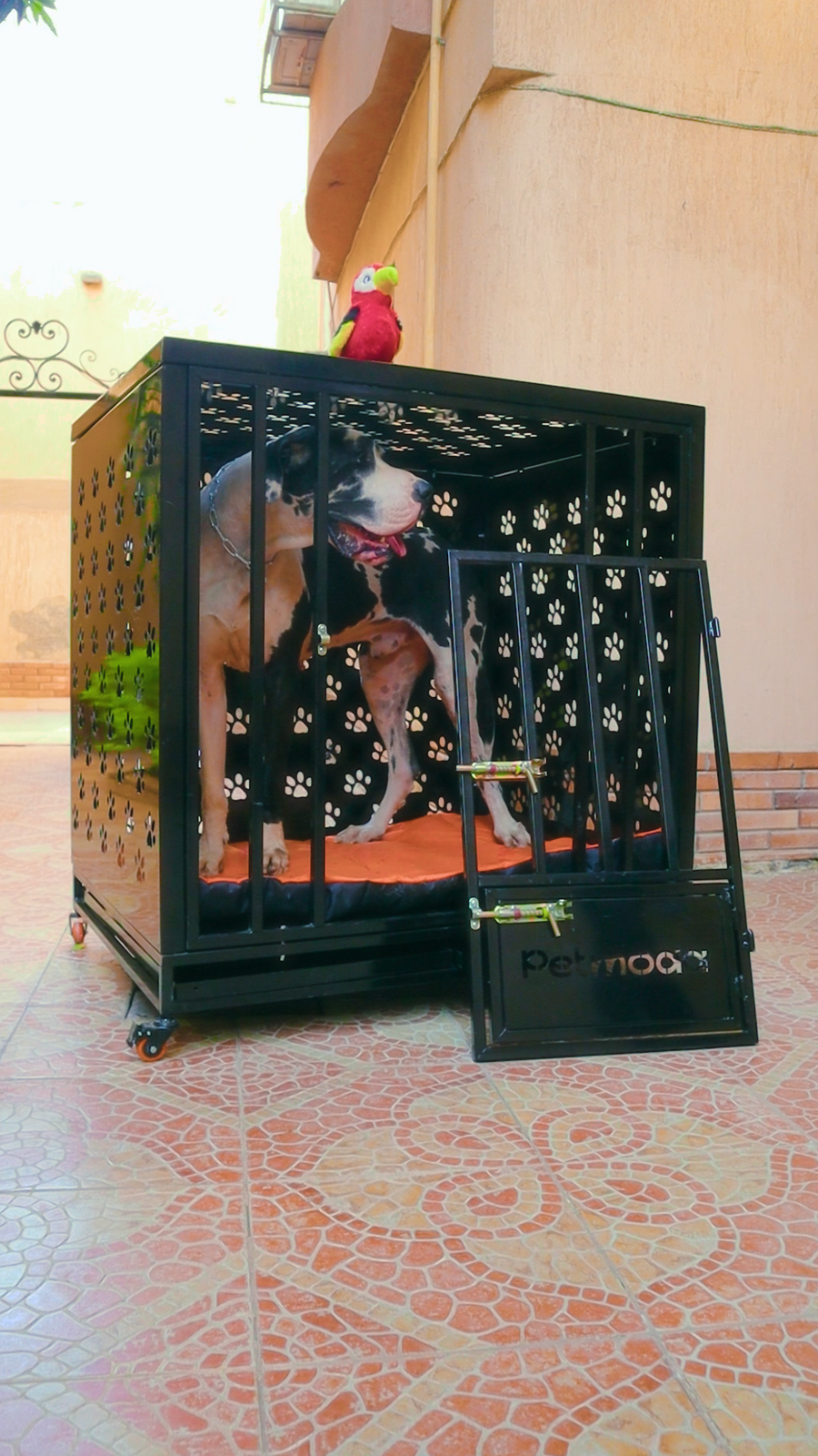 Petmoda Powerful Dog House