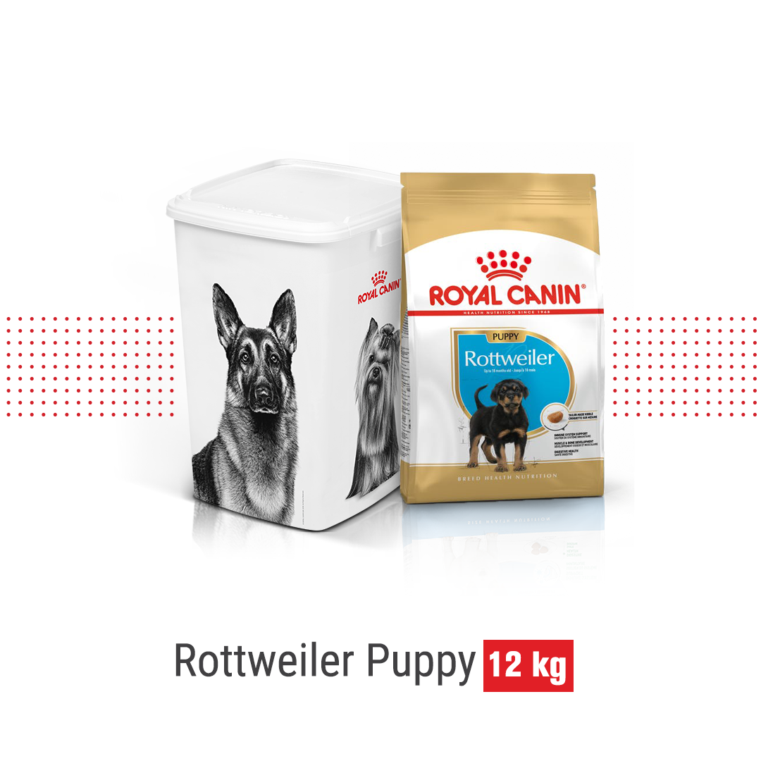 Royal Canin Rottweiler Puppy 12 kg in Bucket