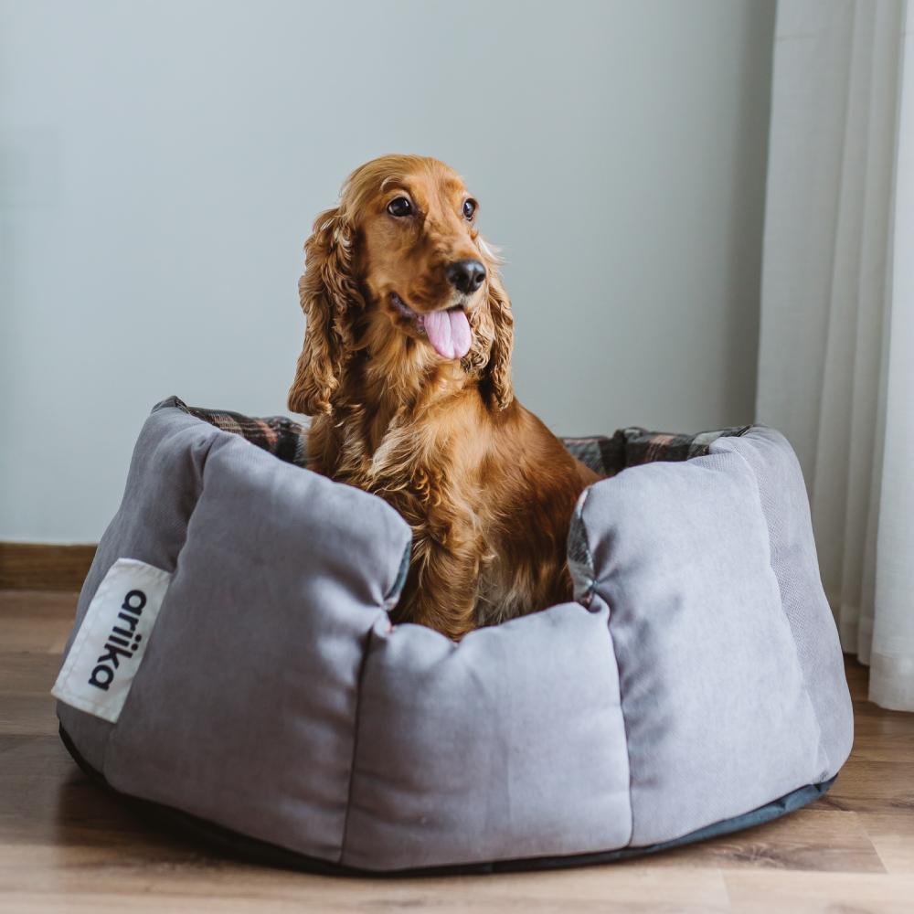 Ariika Cuddler Pet Bed