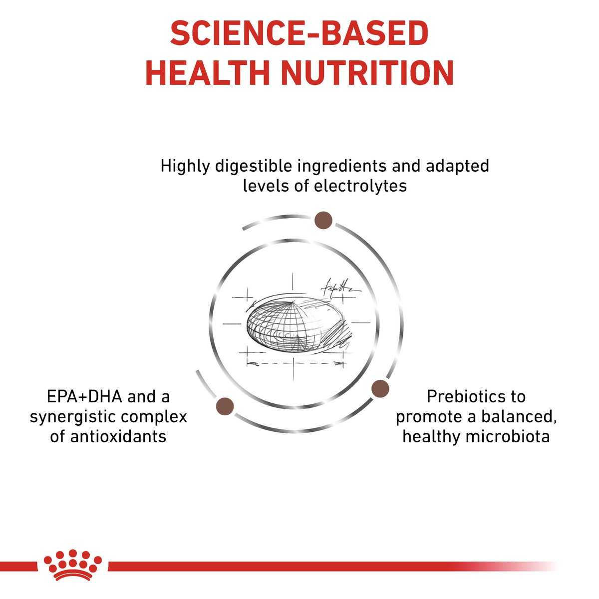 Royal Canin Gastro Intestinal Dogs 2kg