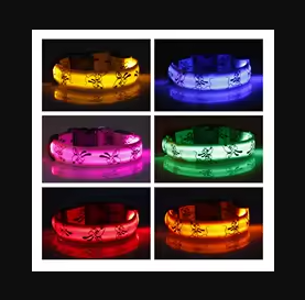 Nylon LED Dog Light Collar Cat Night Safety Flashing Glow Dark Electric Pets