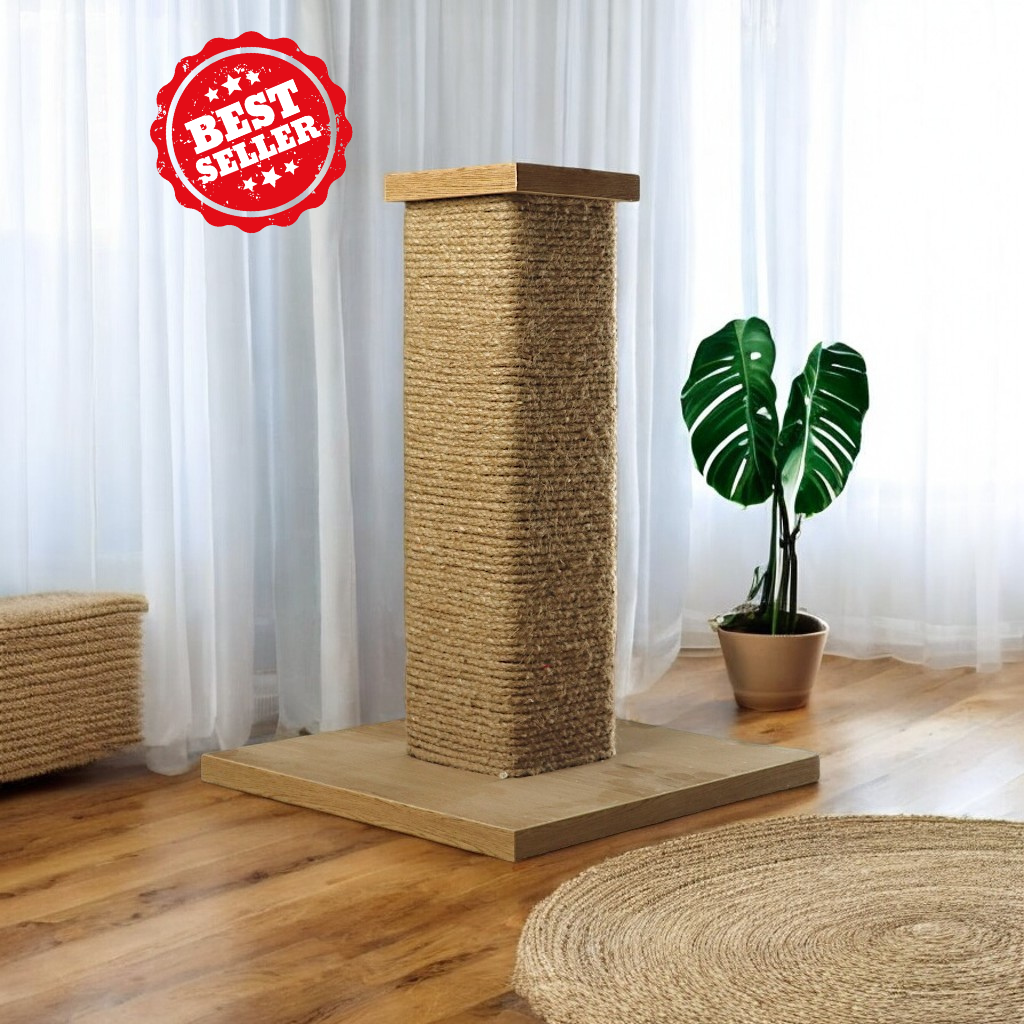 Petmoda Scratch Tower Cat Scratcher With catnip