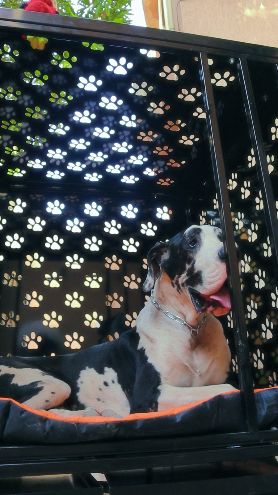 Petmoda Powerful Dog House