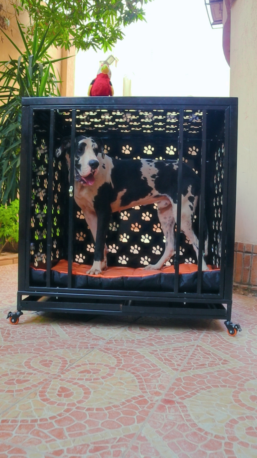 Petmoda Powerful Dog House