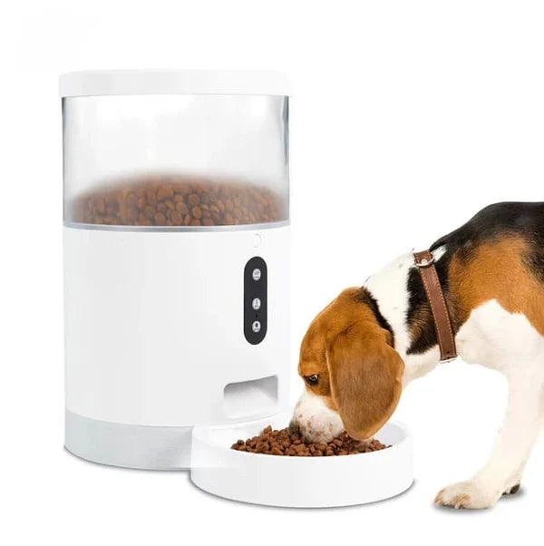 Naomi Smart Automatic Cat Feeders With WIFI