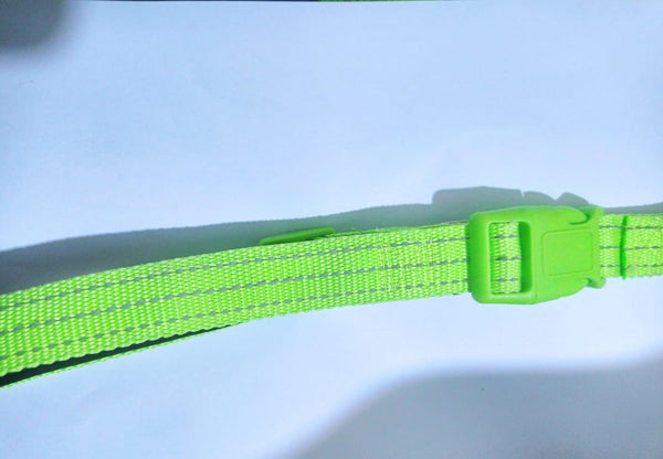 NYLON COLLAR 3 STRIPES - LARGE