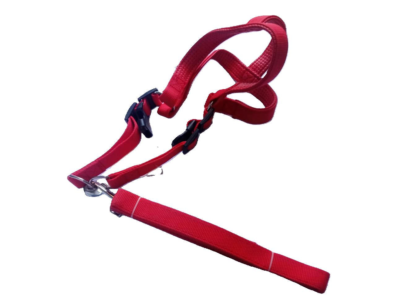 NYLON LEASH WITH HARNESS  L/XL