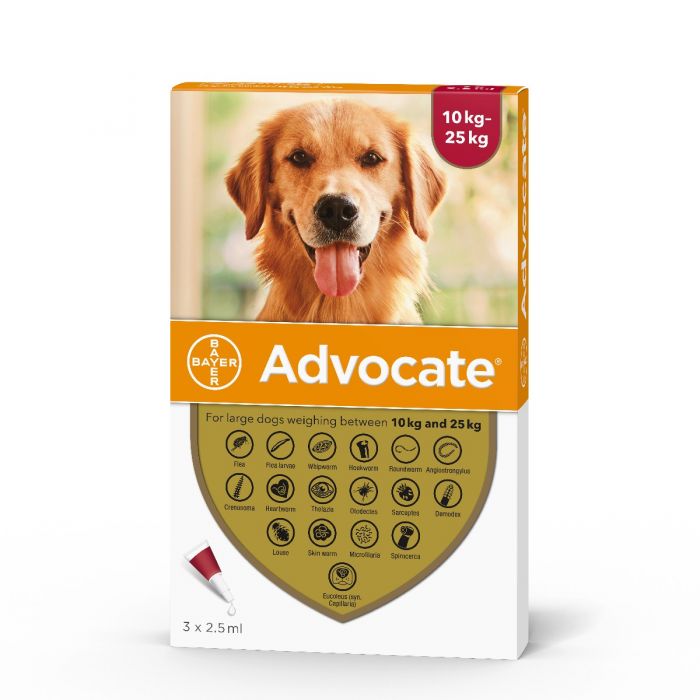 Advocate Spot-On for Large Dogs (10 - 25kg) X 1 Dose