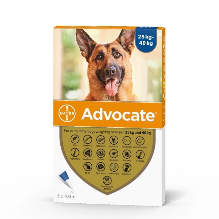 Advocate Spot-On for Large Dogs (25 - 40kg) X 1 Dose