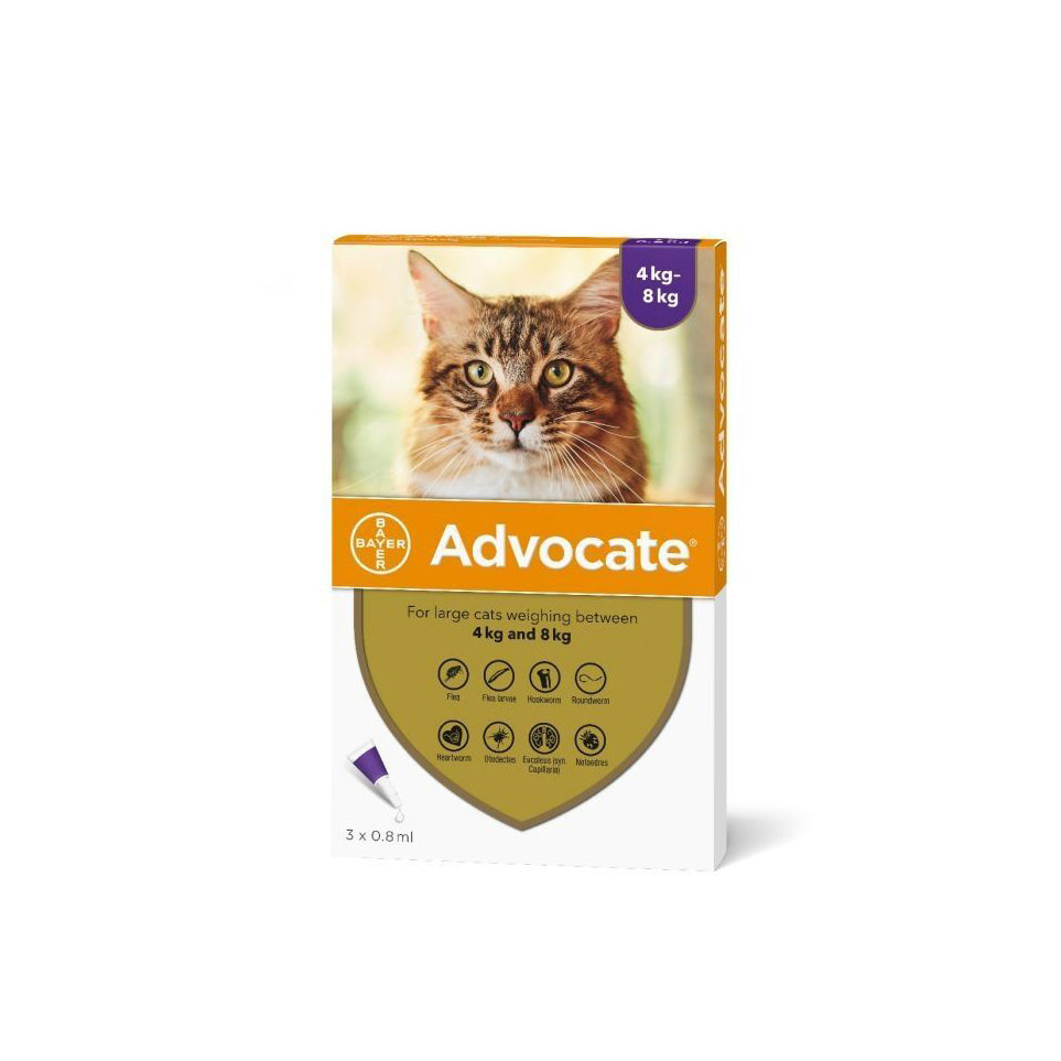 Advocate Spot-On for Large Cats ( over 4Kg ) X 1 Dose