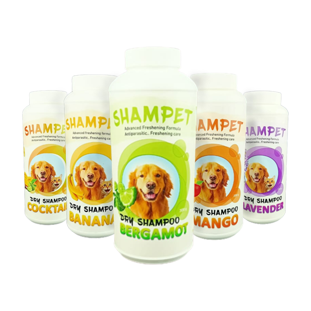 Forvet Shampet Dry Shampoo