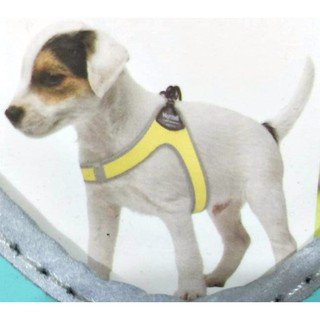 NUNBELL DOG HARNESS SIZE 1.5cm up to 4kg colors