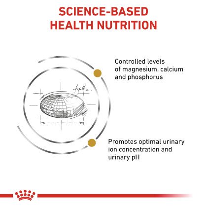 Royal Canin Urinary SO 400 gm