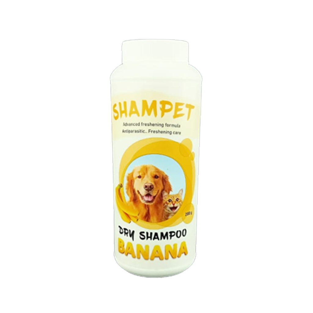 Forvet Shampet Dry Shampoo