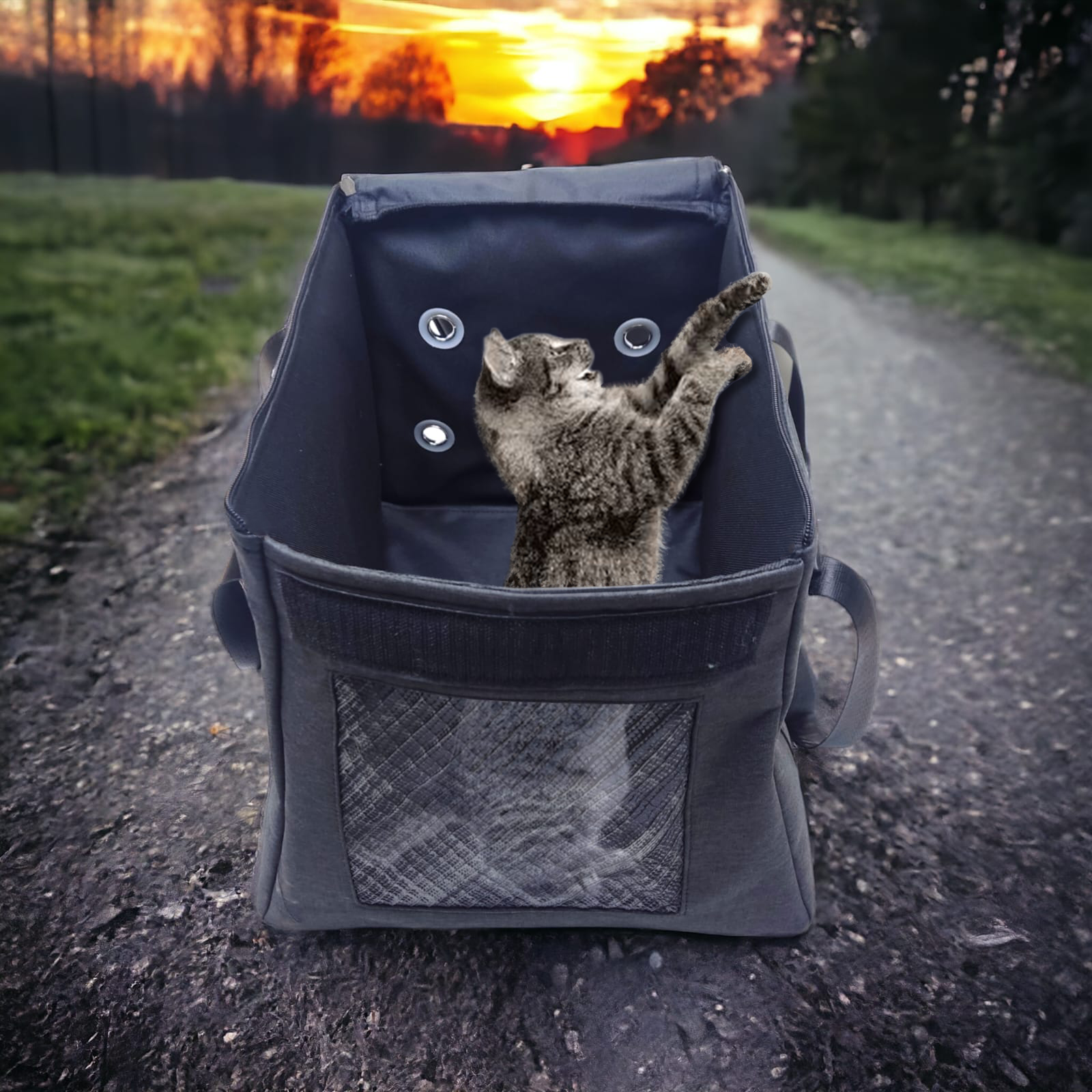 Moda Cat Bag