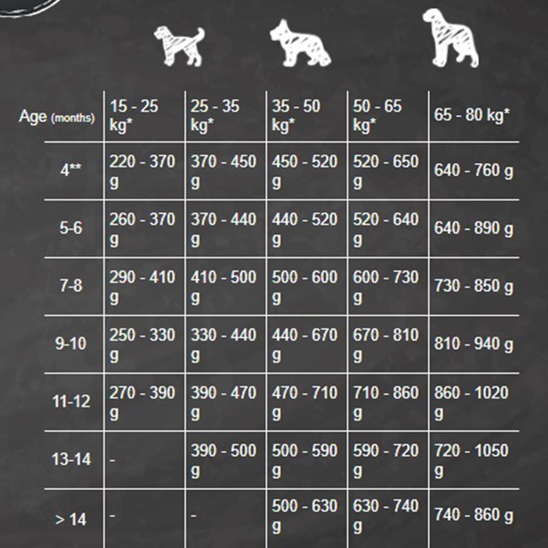 Belcando Maxi Junior Dry Food 12.5kg