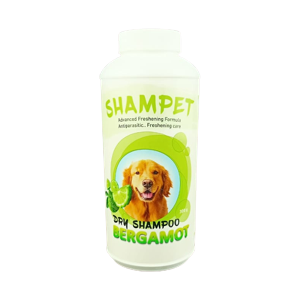 Forvet Shampet Dry Shampoo