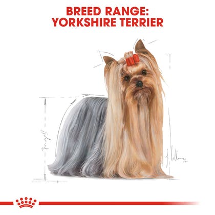 Royal Canin Yorkshire Adult Pouch 85 gm