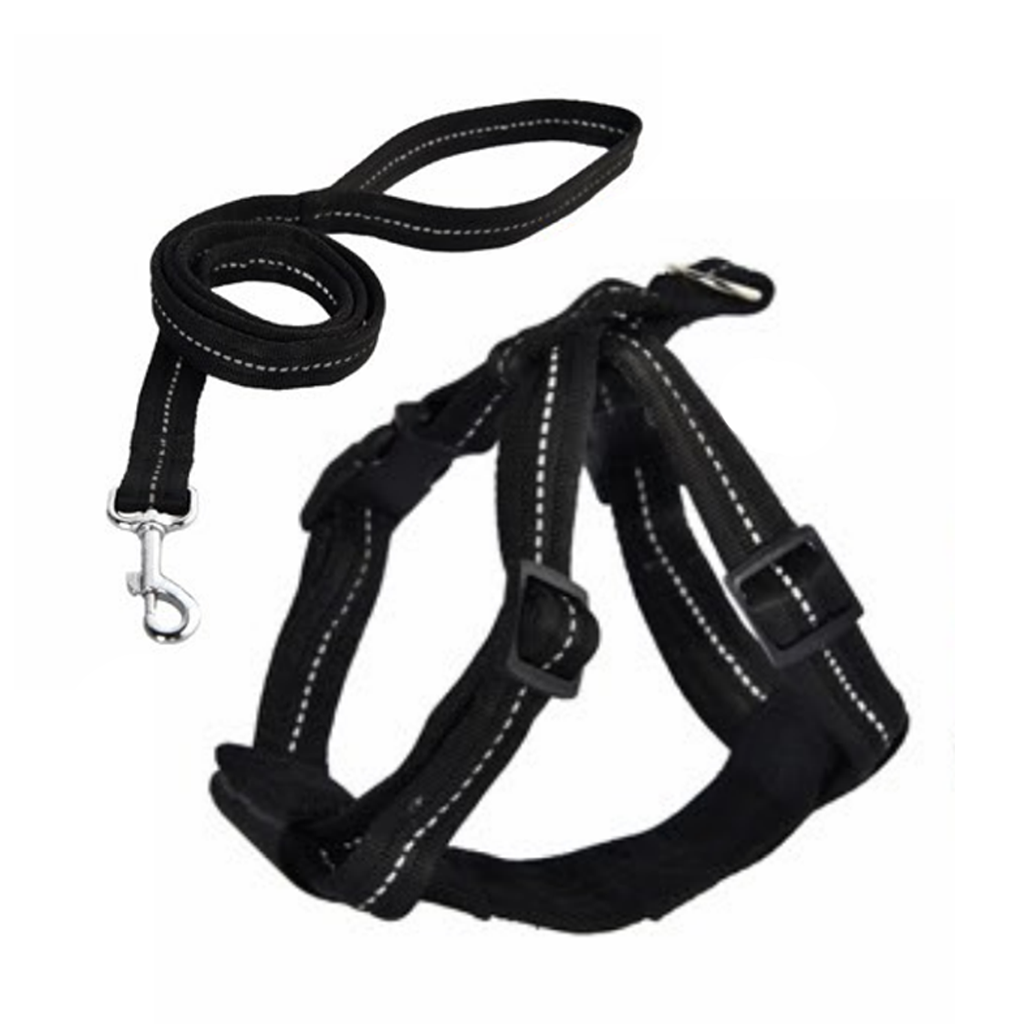 Naomi Nylon Sumo Harness with Leash