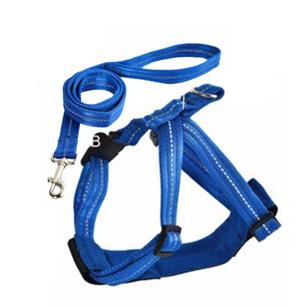 Naomi Nylon Sumo Harness with Leash