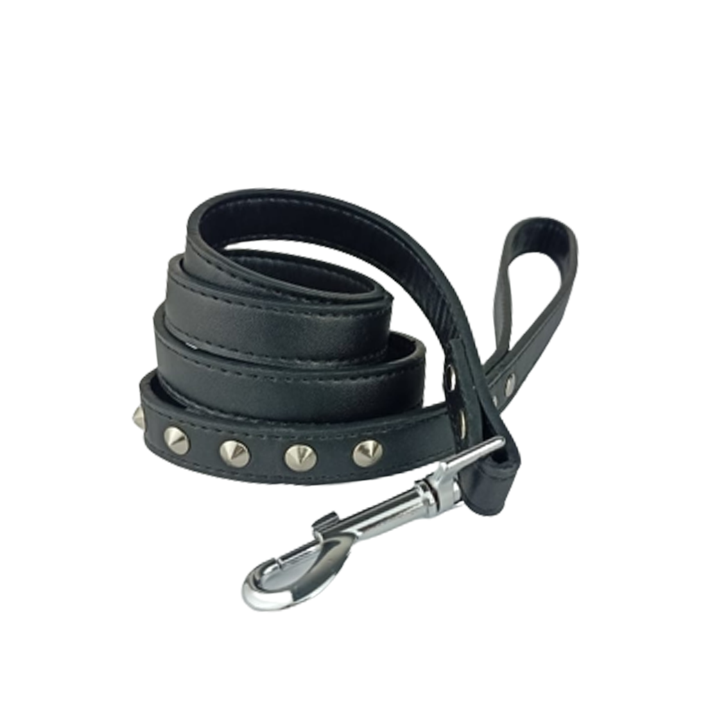 Naomi Black Classic Leather Medium Leash