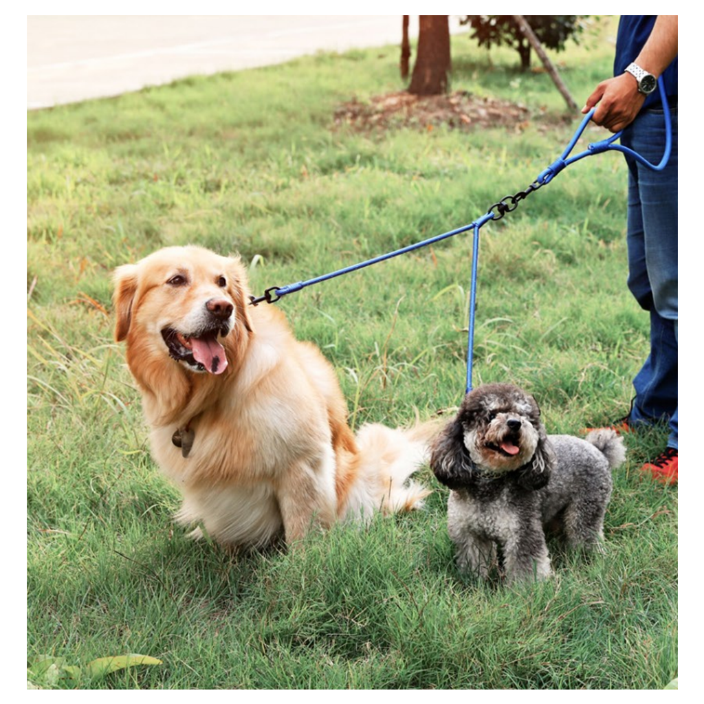 Naomi Double Reflective Leash For Two Dogs