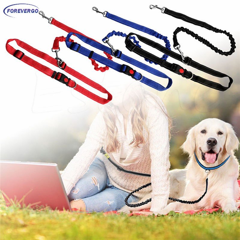 Elastic Packed Leash (2 cm × 90-180 cm)