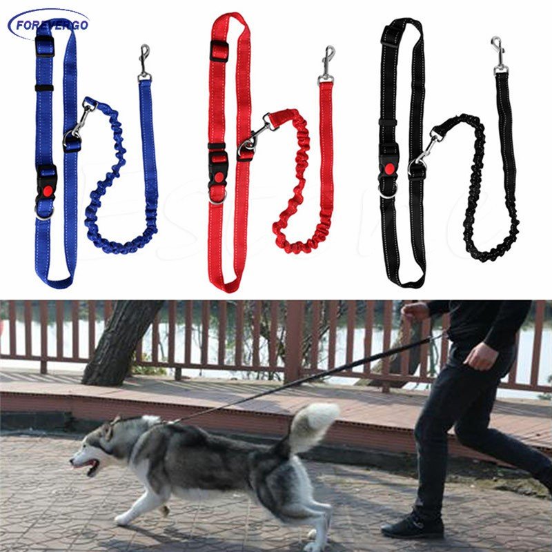 Elastic Packed Leash (2 cm × 90-180 cm)