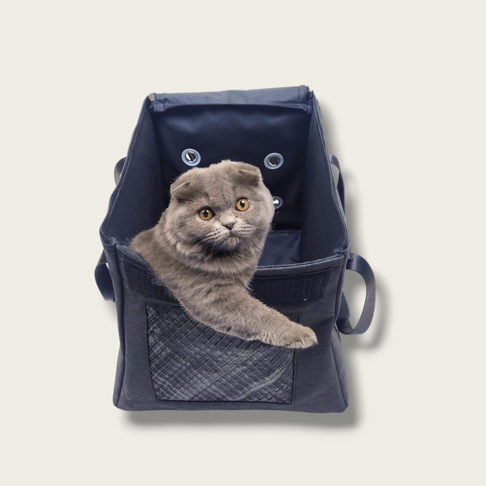 Moda Cat Bag