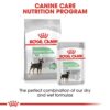 Royal Canin Mini Digestive Care Dry Food 3kg