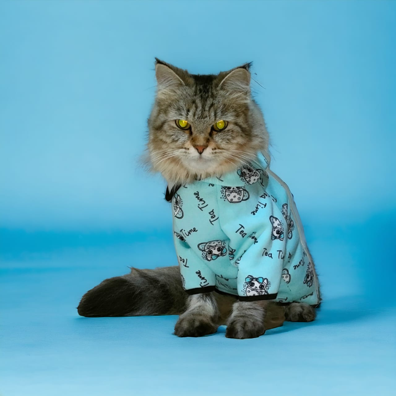 Petmoda Sweatshirt for cats