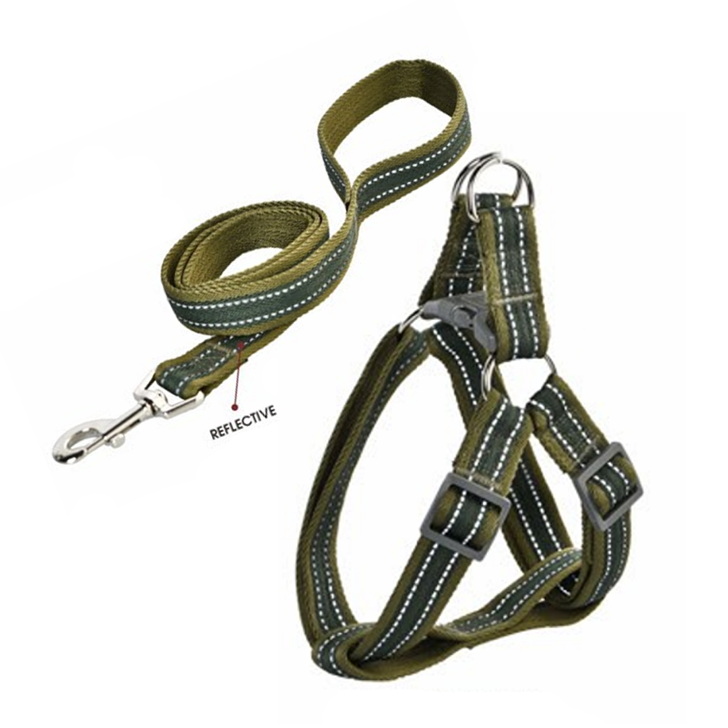 Naomi Oil Canvas Harness and Leash with Reflective Strip