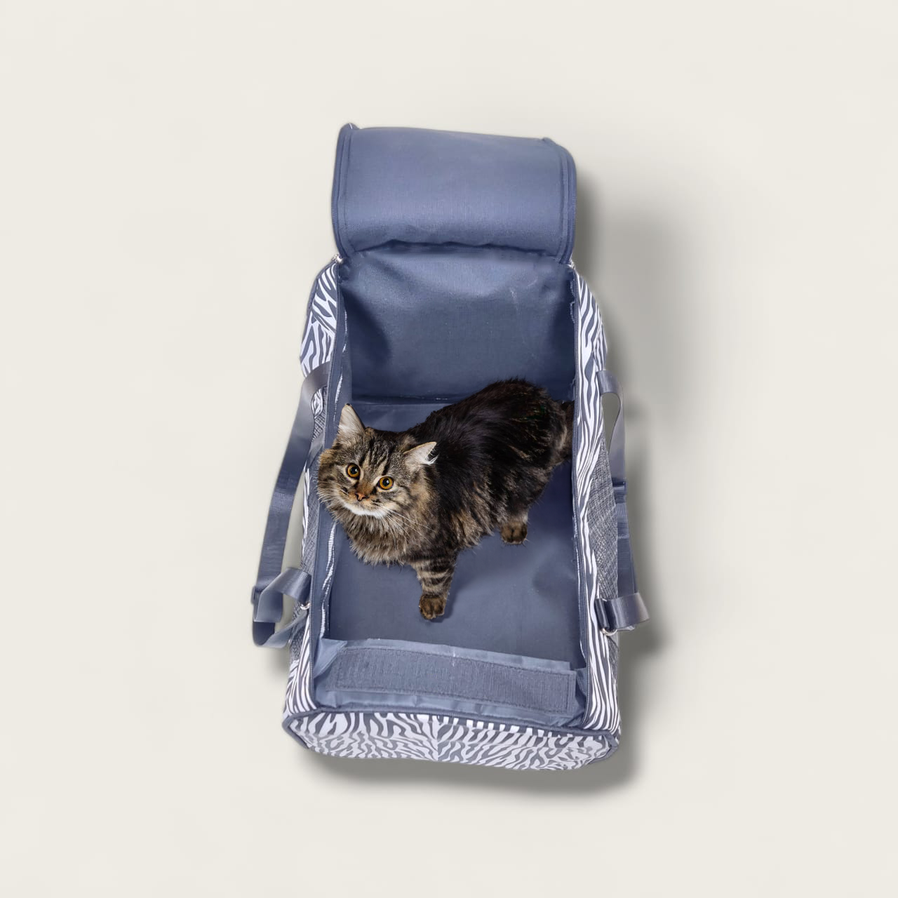 Petmoda Cat Bag