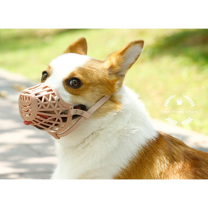 Dog Muzzle 3 sizes