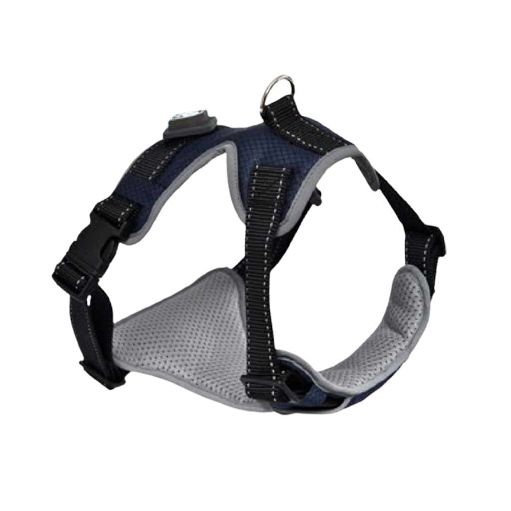 Naomi Flash Sport Padded Harness