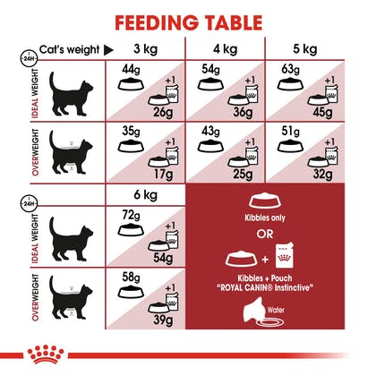 Royal Canin FIT-32 Regular 2 Kg