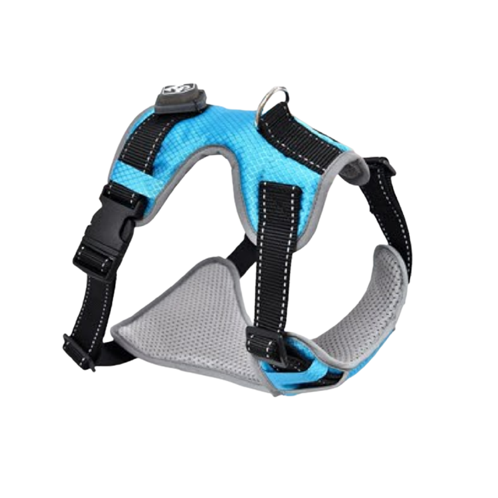 Naomi Flash Sport Padded Harness