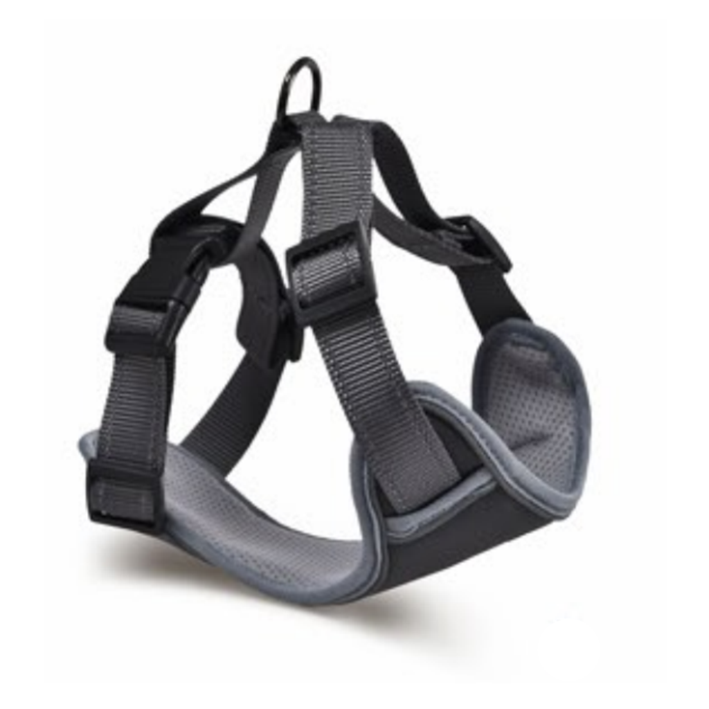 Naomi Soft Padded Harness