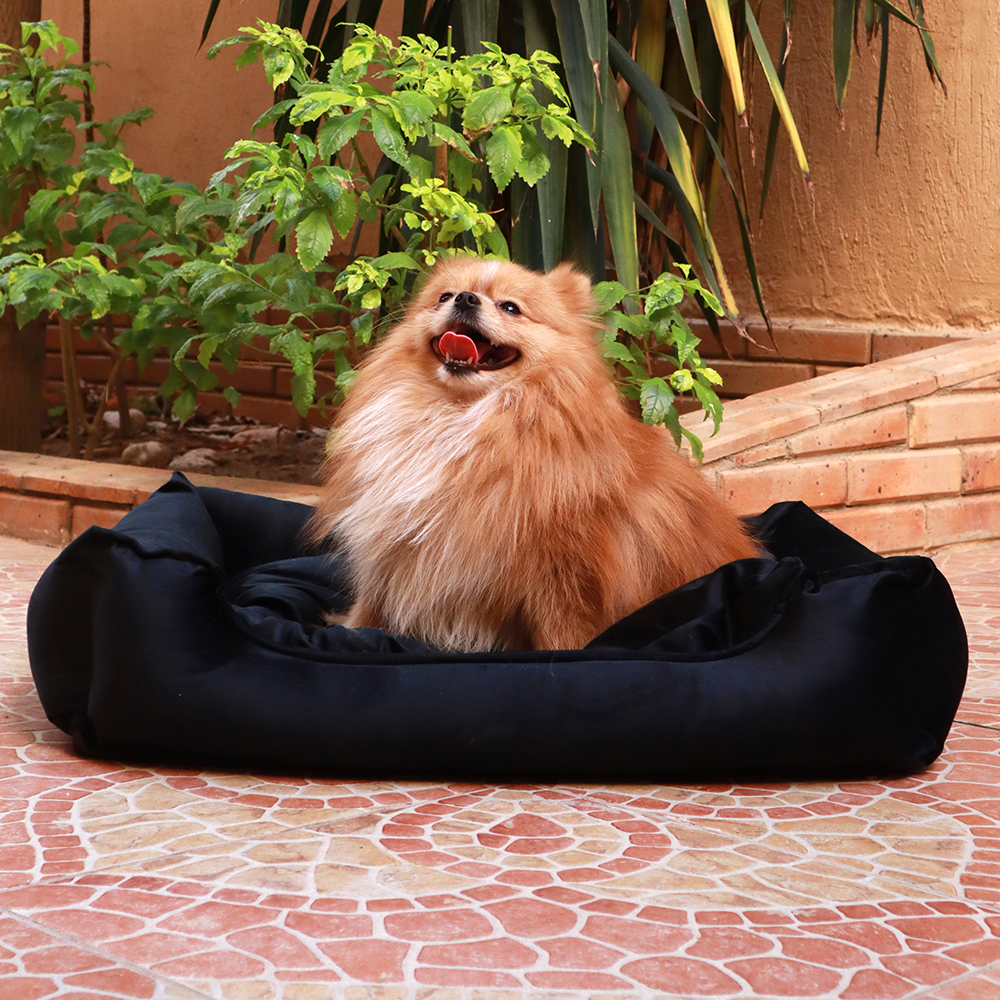 Petmoda Velvet  Bed