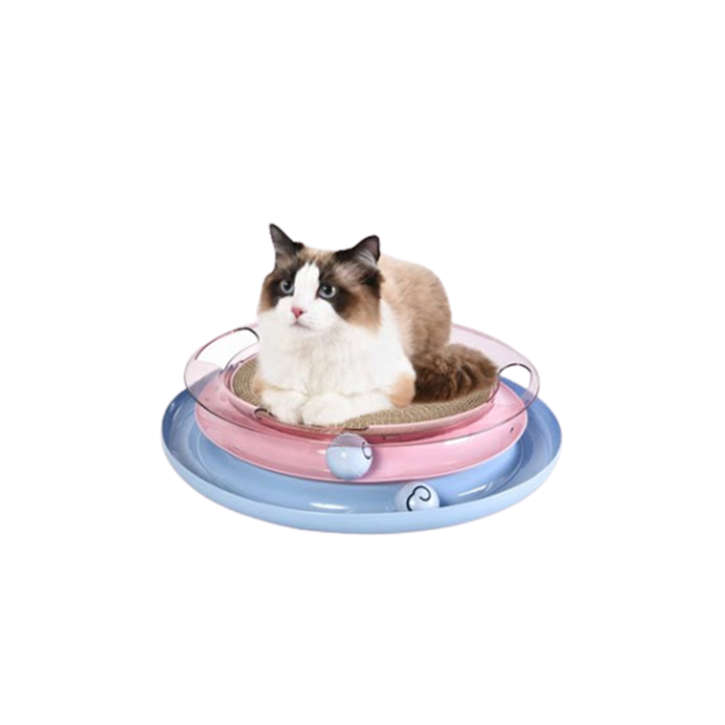 Naomi 3 in 1 Interactive play scratcher & toy