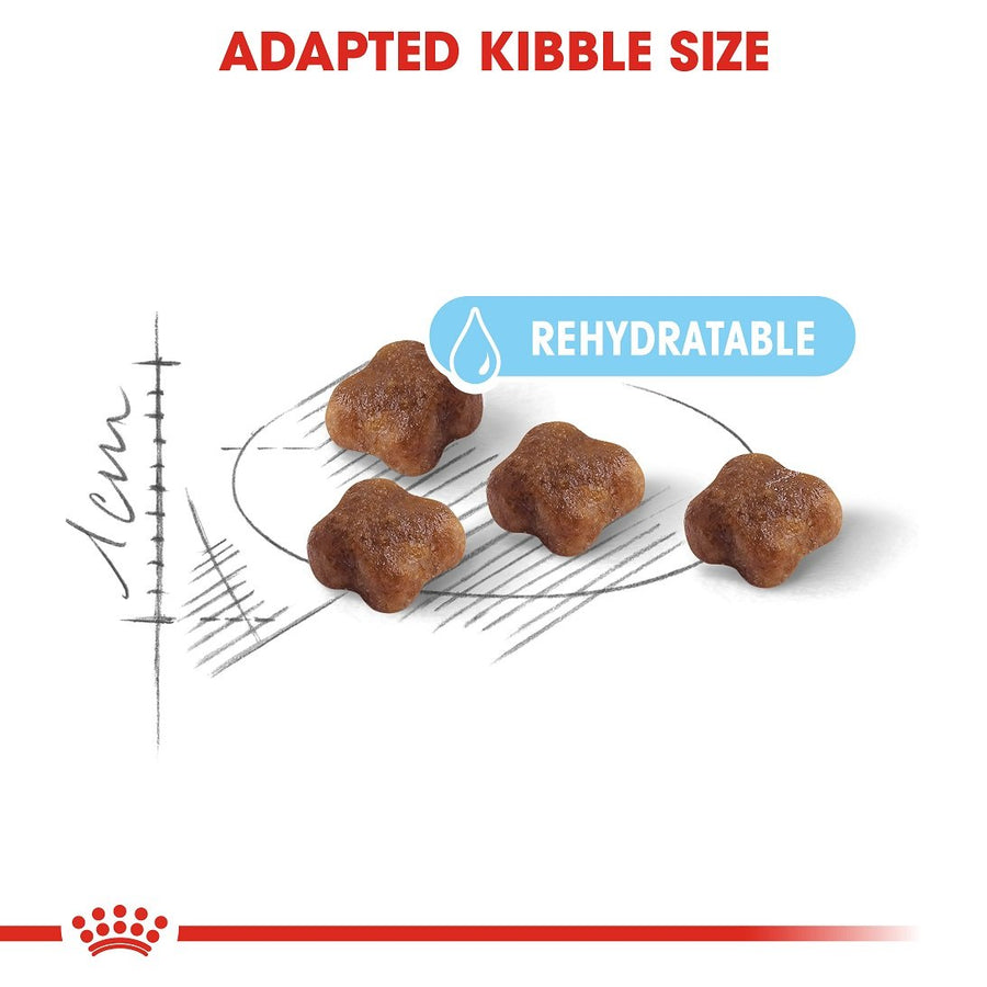 Royal Canin Mother&Babycat Dry Food 400g