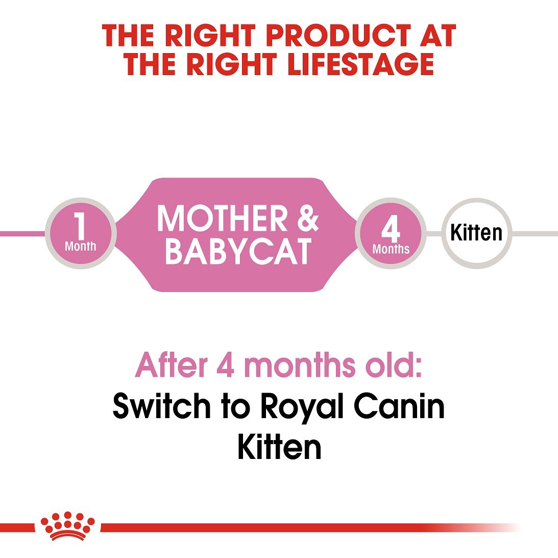 Royal Canin Mother & Babycat 400 gm