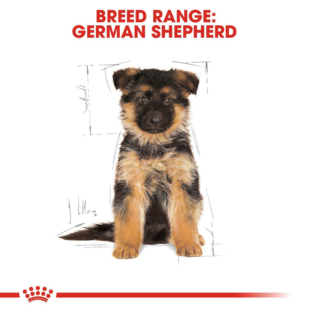 Royal Canin Pro German Shepherd Puppy 16 Kg