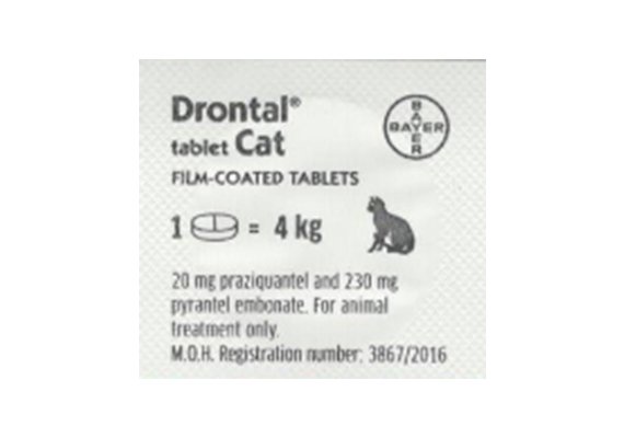 Drontal Cat Worming Tablet x 1