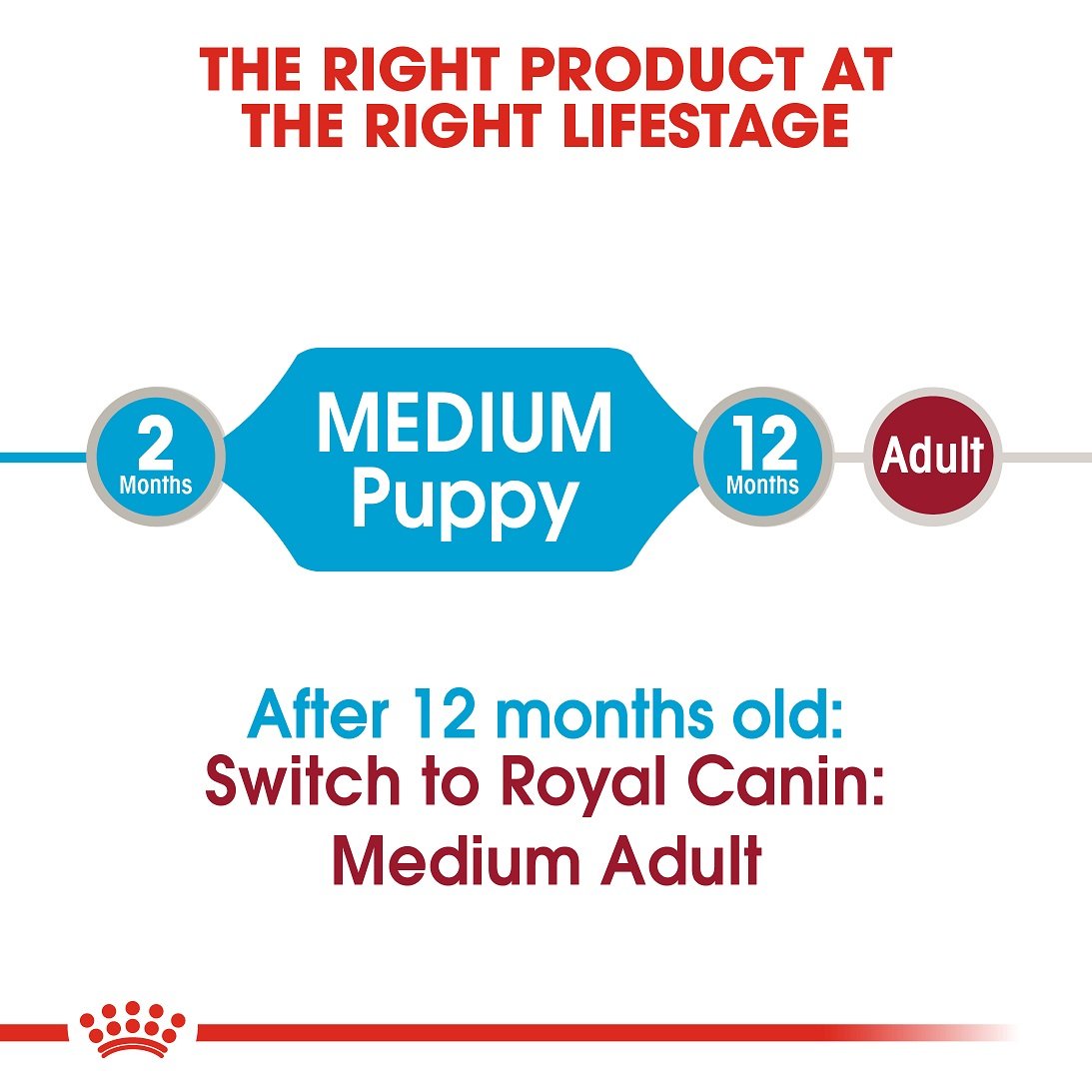 Royal Canin Medium Puppy Pouch 140 gm